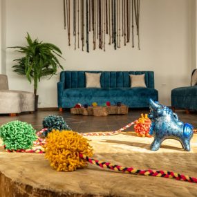 464388179_18037837880195864_5296372543323006209_n